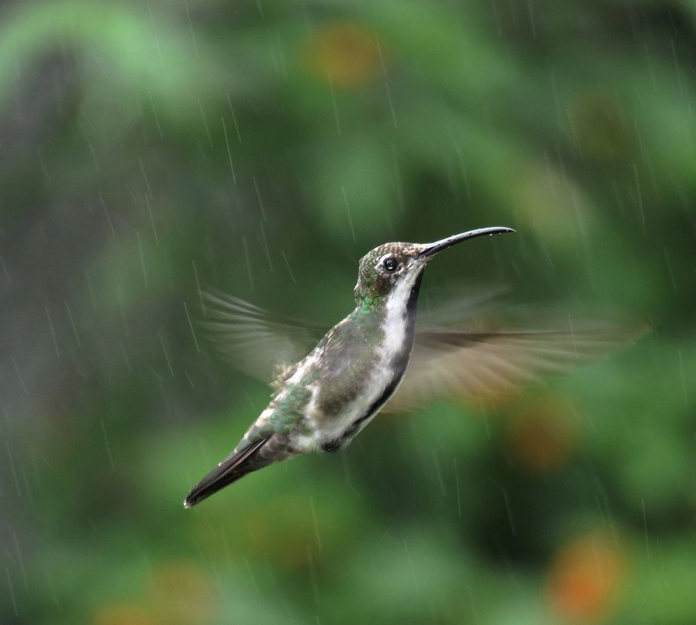 Photograph by Tomás Fernández