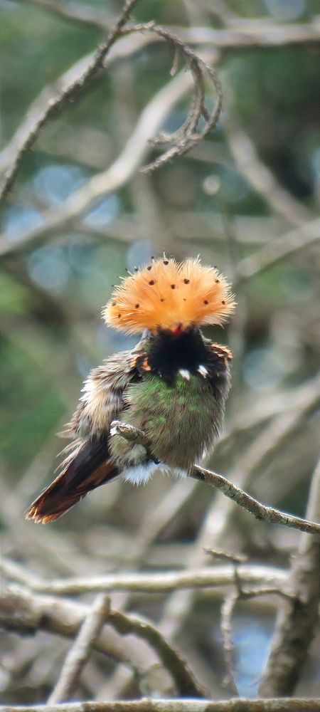 Photograph by Tomás Fernández