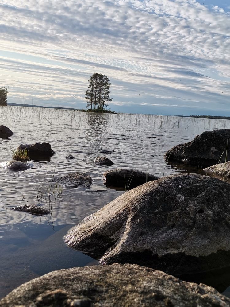 Photograph by Ирина Садовникова