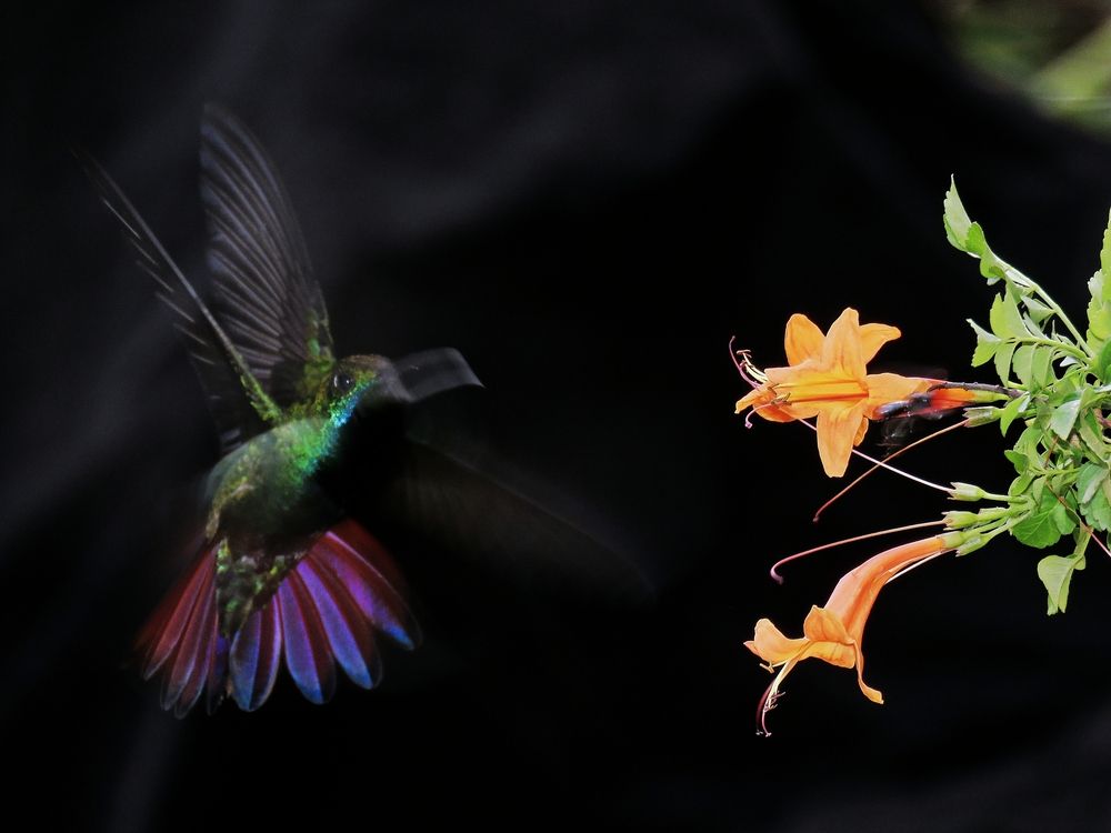 Photograph by Tomás Fernández