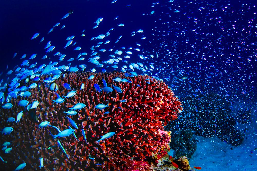 Photograph by nishijima takayuki