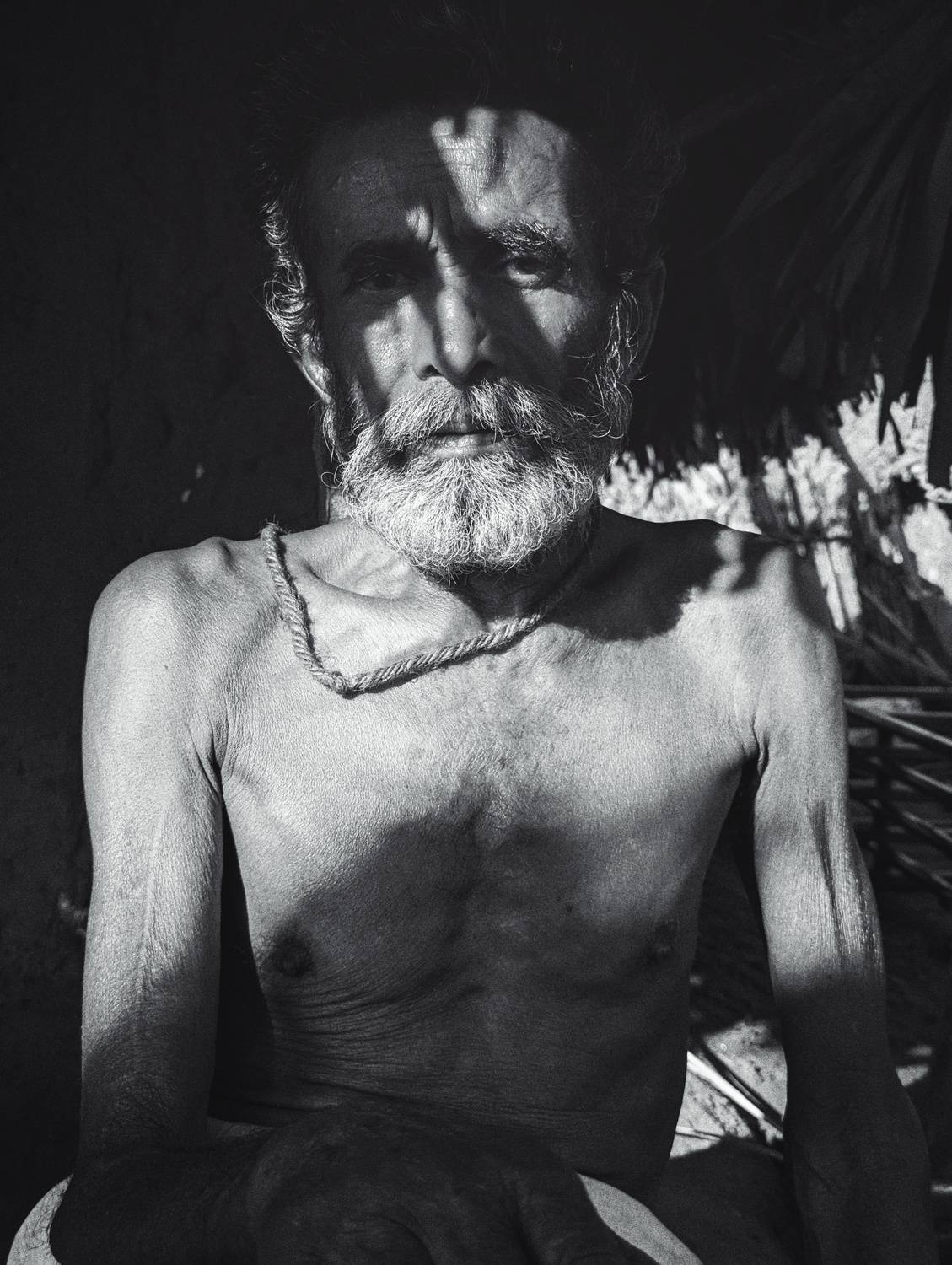 Photo #12341024