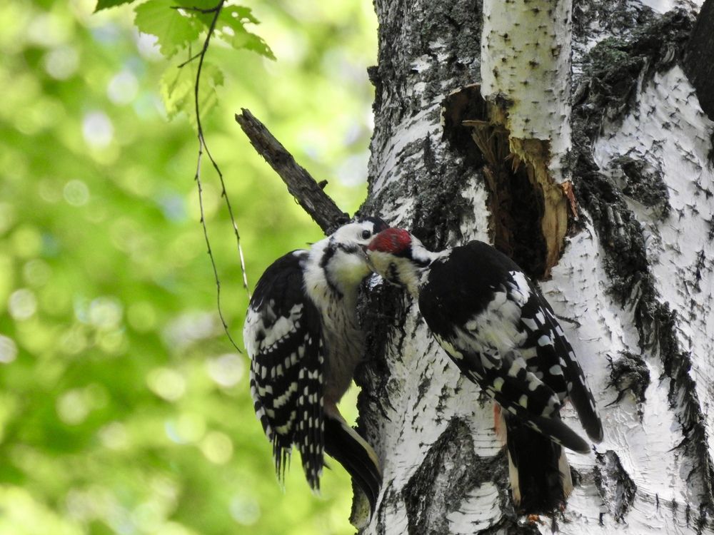 Photograph by Римма Большакова