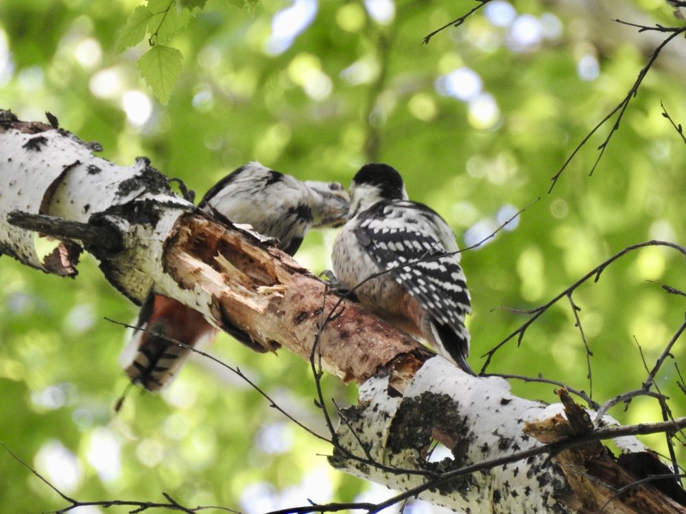 Photograph by Римма Большакова