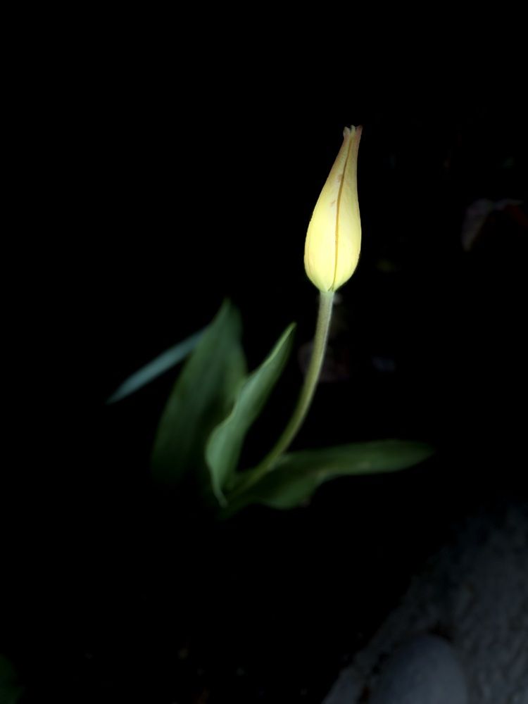 Photograph by Ольга Логарева