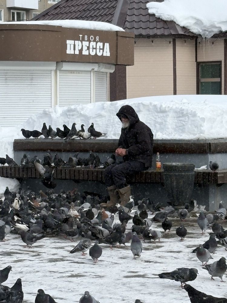 Photograph by Ольга Логарева