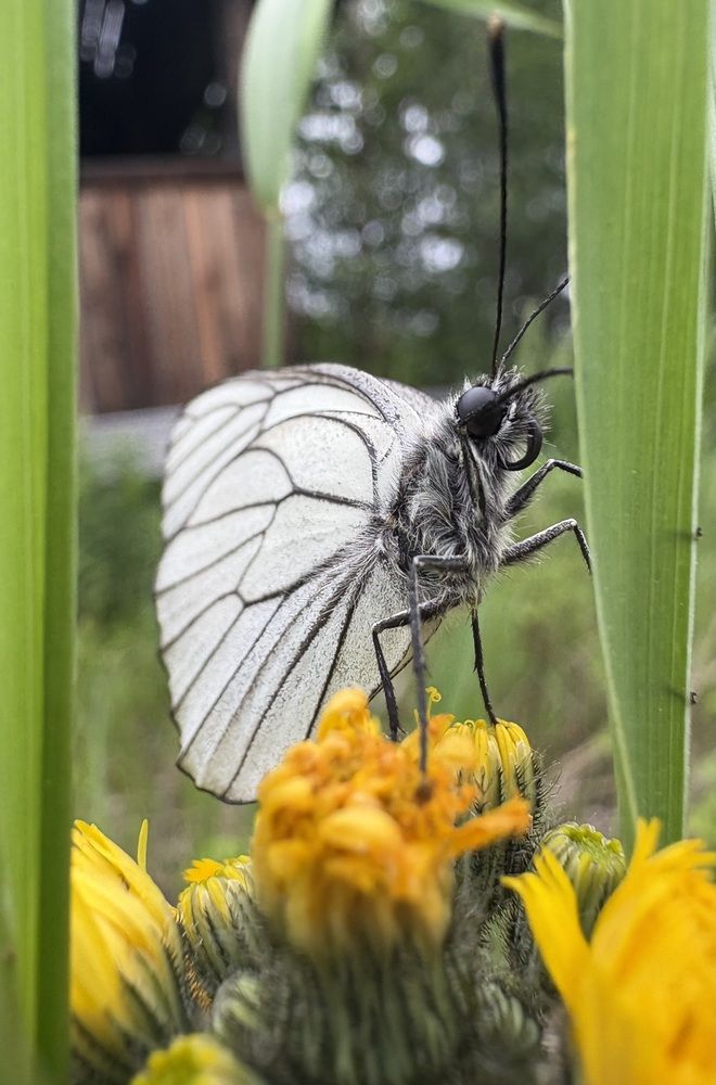 Photograph by Ольга Логарева