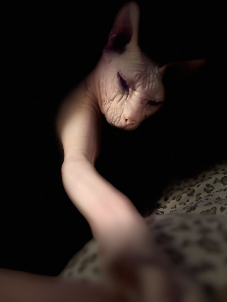 Photograph by Ольга Логарева