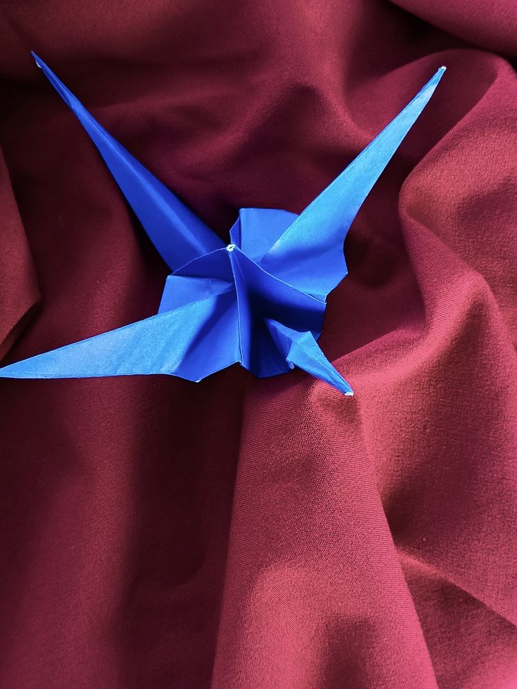 Фотография автора Татьяна Шахова