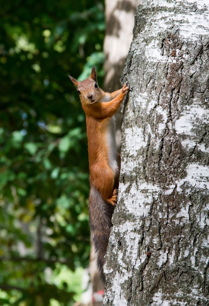 Photograph by Андрей Чуйков