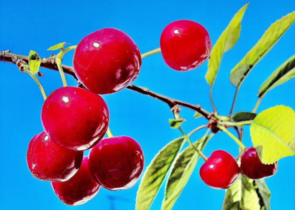 Photograph by Виталий Симоненков