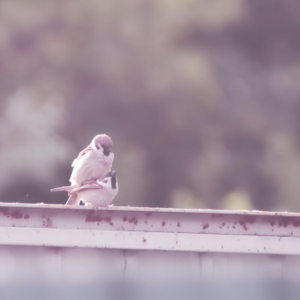 Photograph by Макс Полюхович