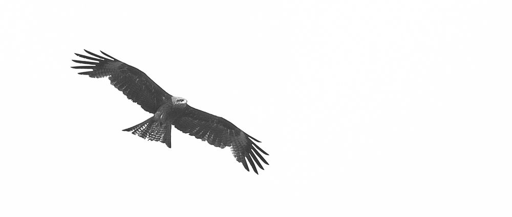 Photograph by Макс Полюхович