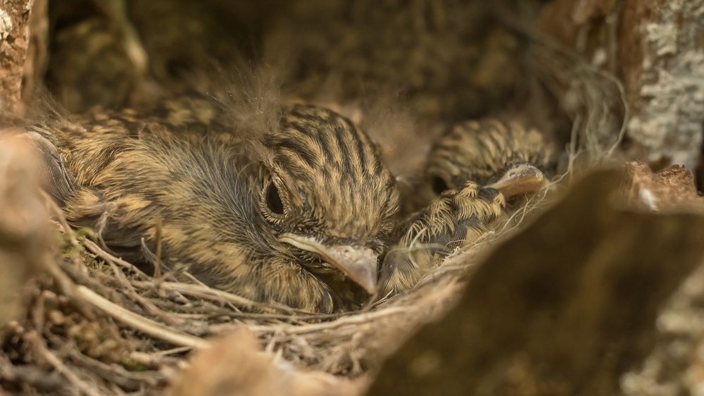 Photograph by Макс Полюхович