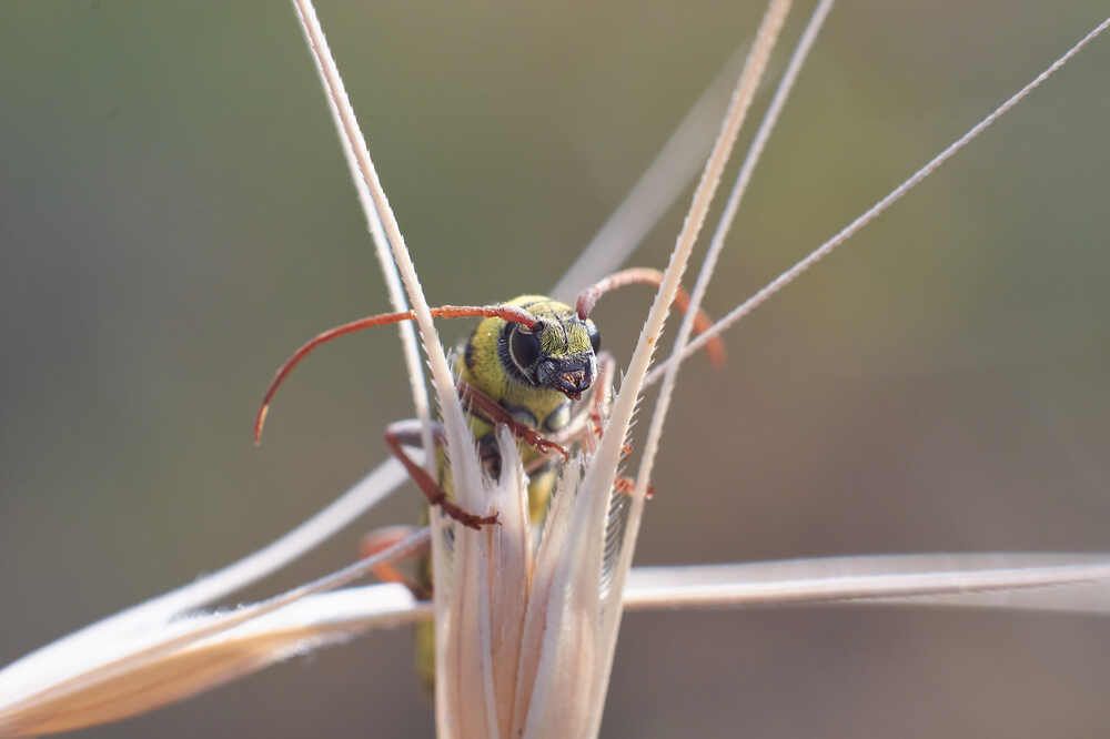 Фотография автора Павел Сторчилов
