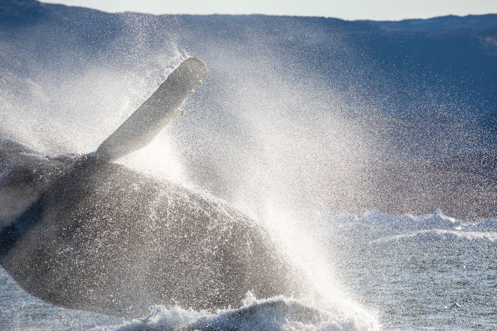 Photograph by Евгения Чех