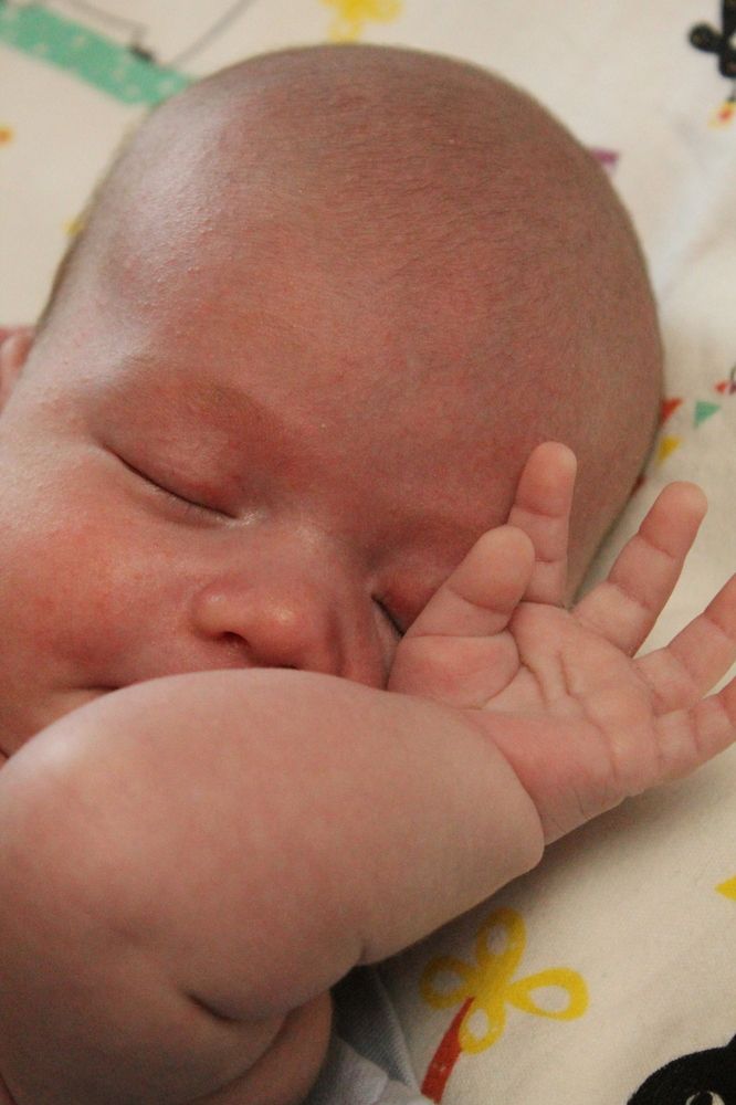 Photograph by Любовь Лунина