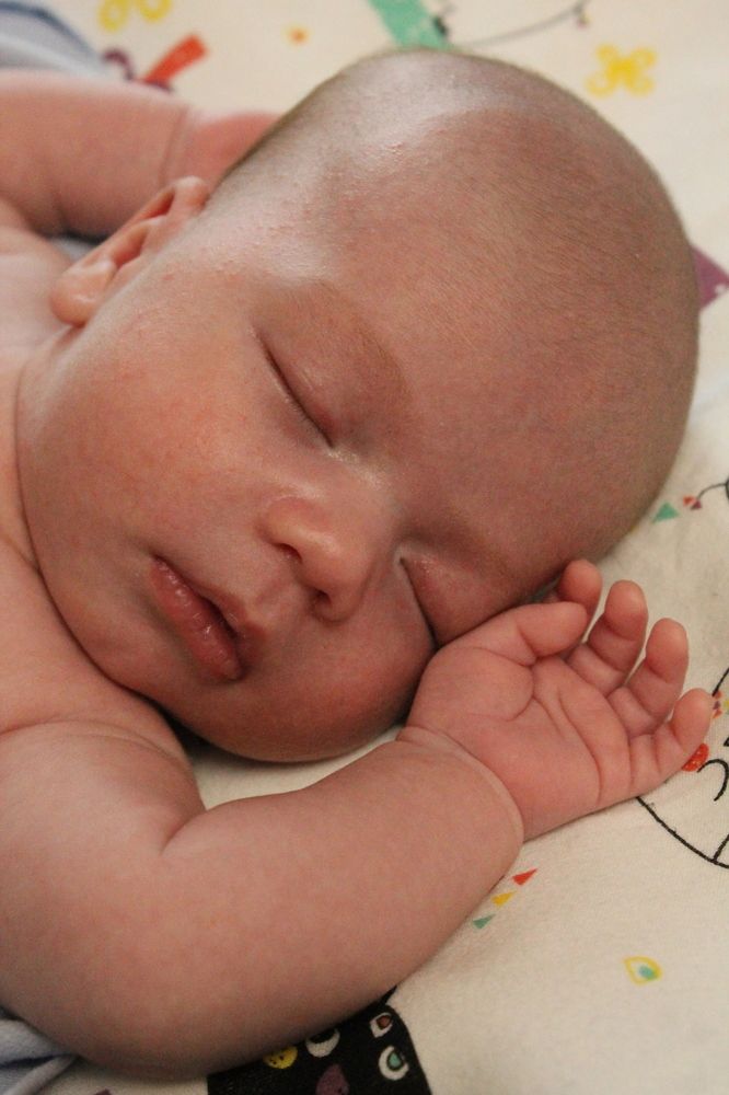 Photograph by Любовь Лунина