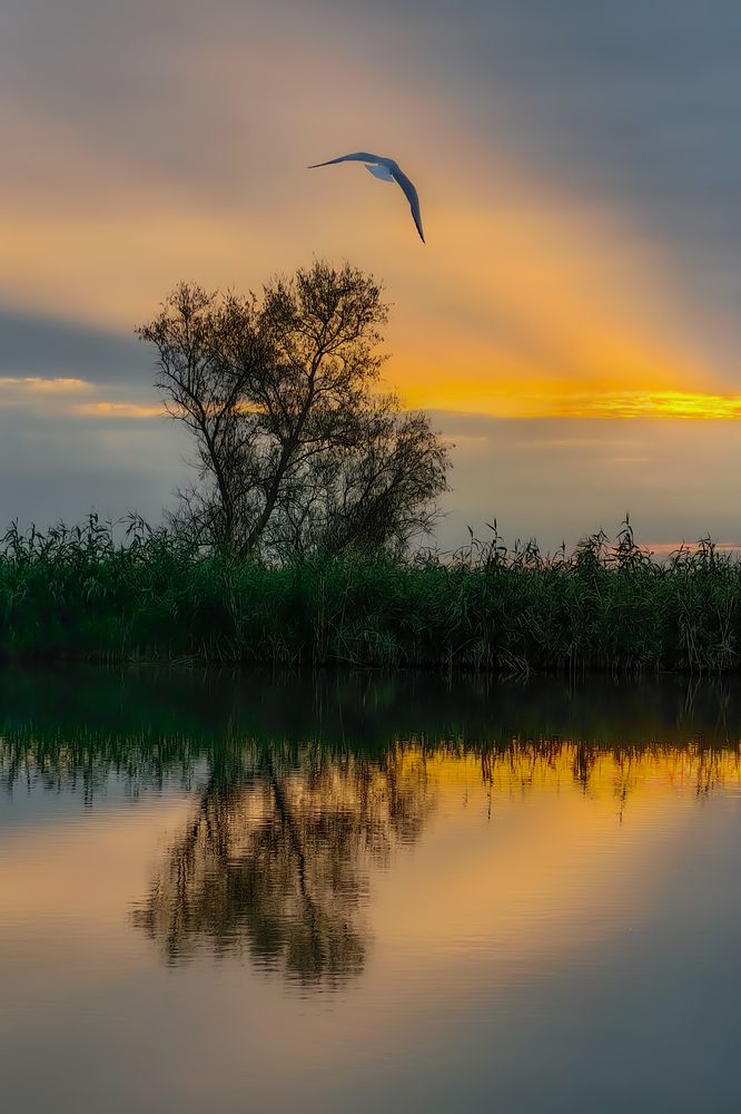 Фотография автора Aleksandr Kadyshev