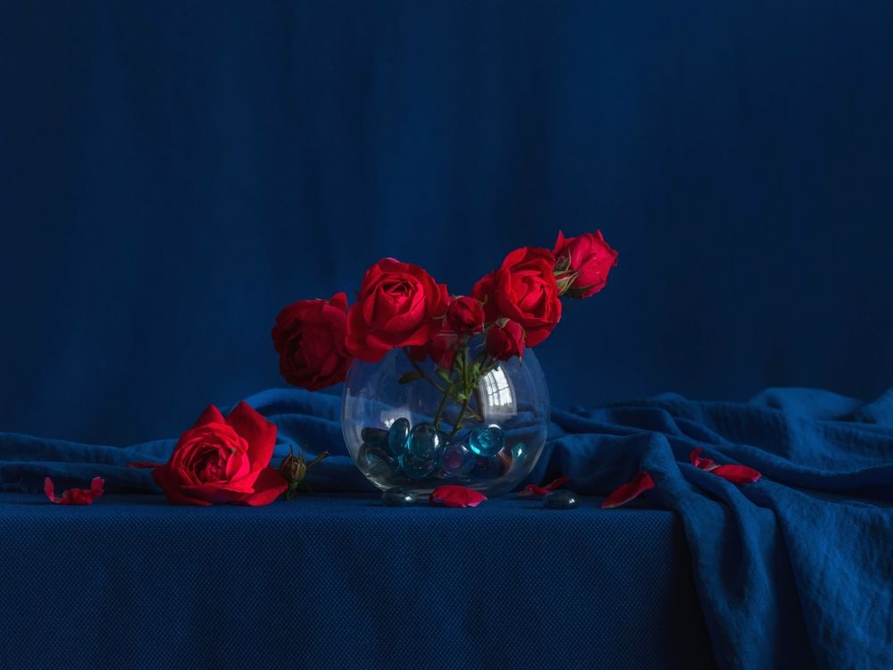 Photograph by Людмила Прибылова