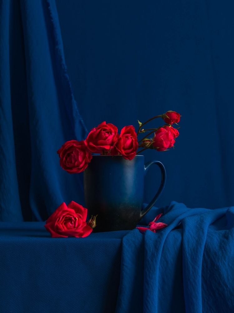 Photograph by Людмила Прибылова