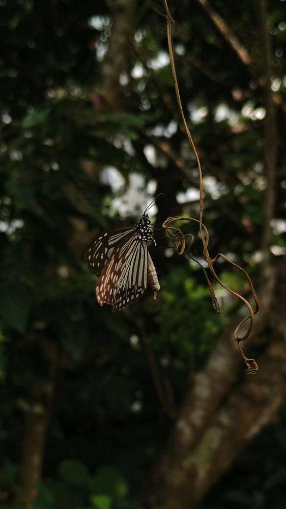 Photograph by Preksha