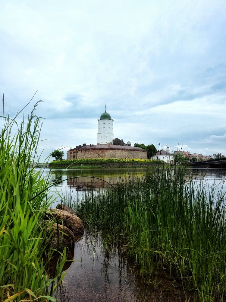 Photograph by Зинаида Савельева