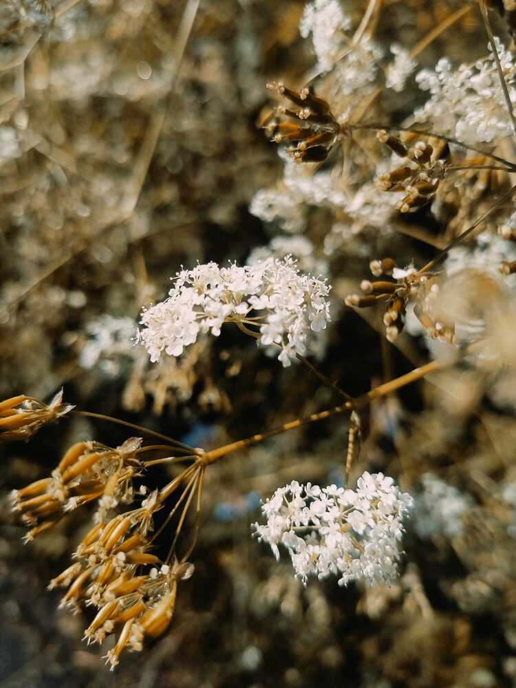 Photograph by Софья Копейкина