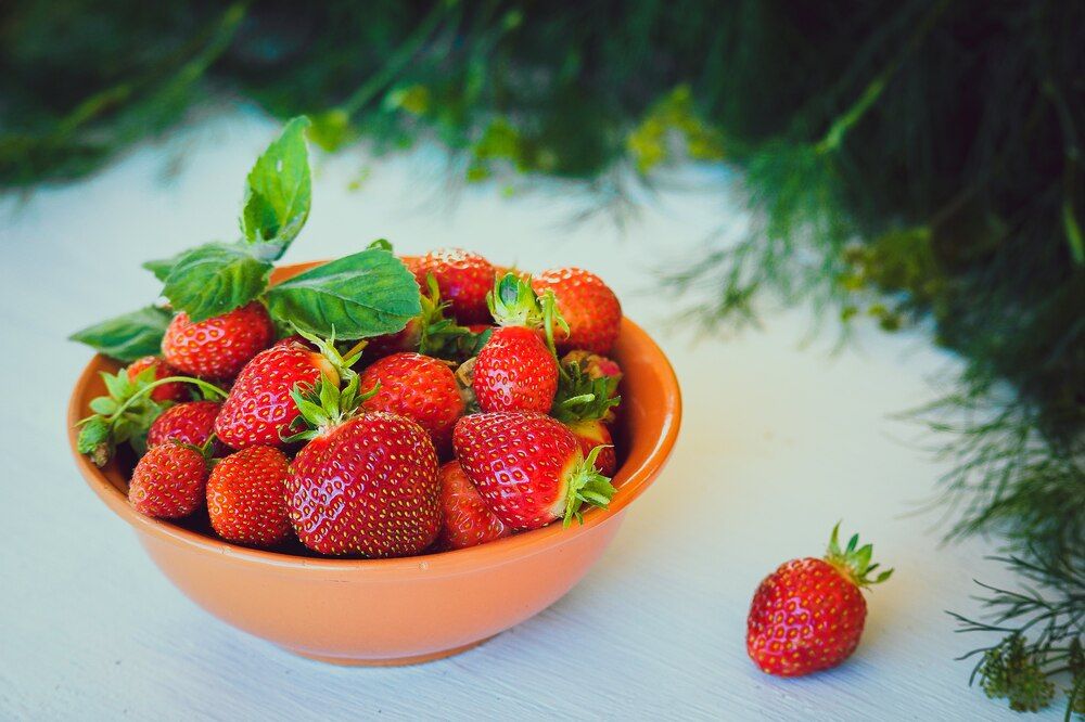 Photograph by Мария Чунаева