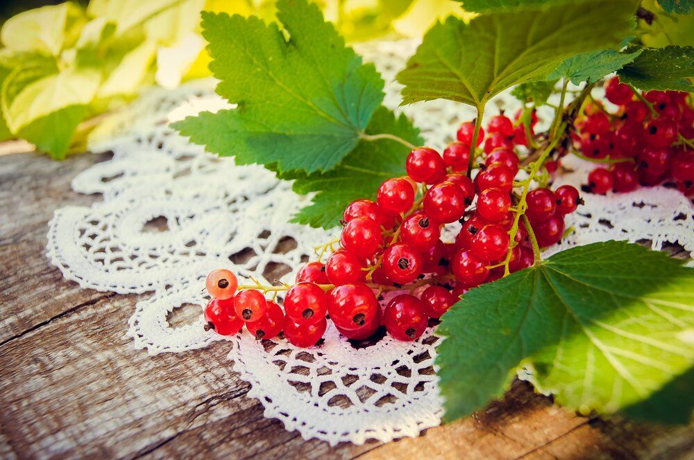 Photograph by Мария Чунаева