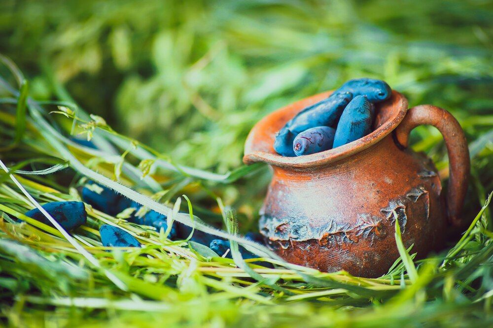 Photograph by Мария Чунаева