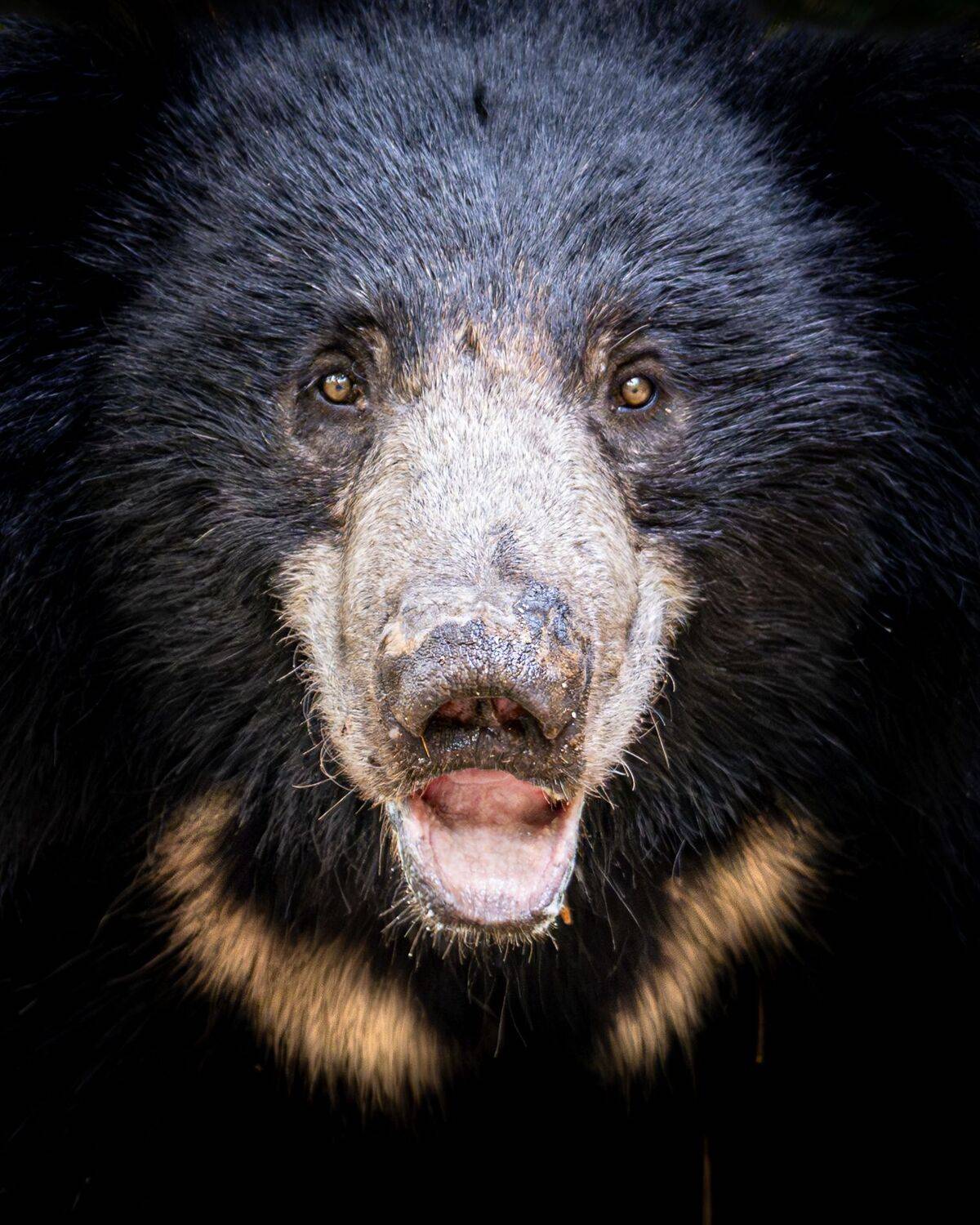 Фотография #12341482