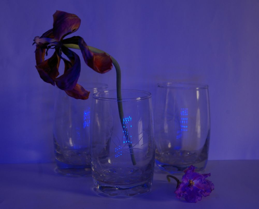 Photograph by Елена Алешкевич