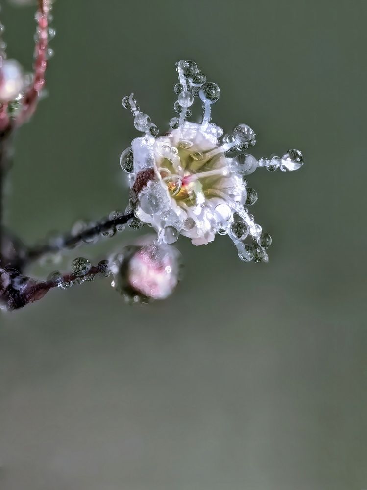 Photograph by Кузнецов Дмитрий