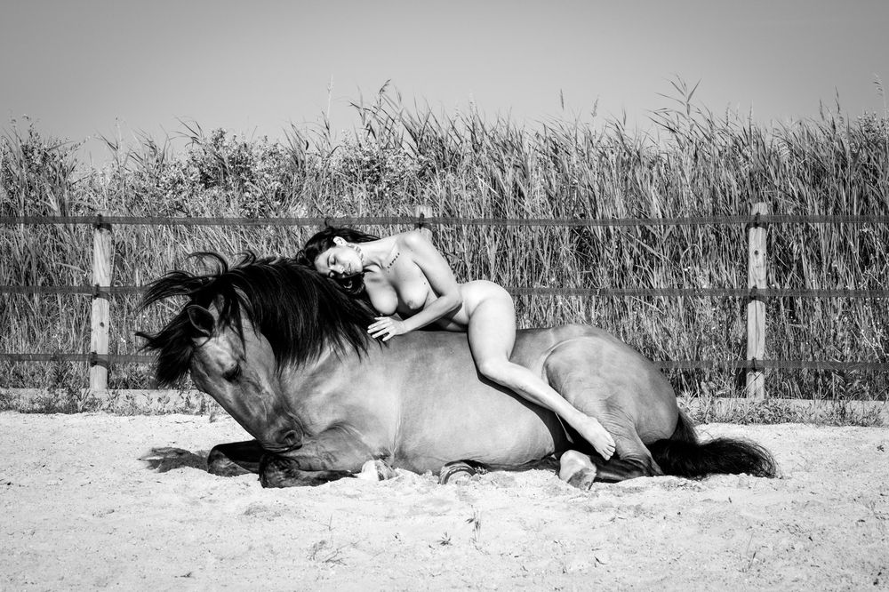 Фотография автора Michal Nega