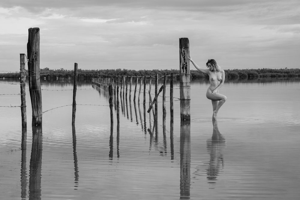 Фотография автора Michal Nega