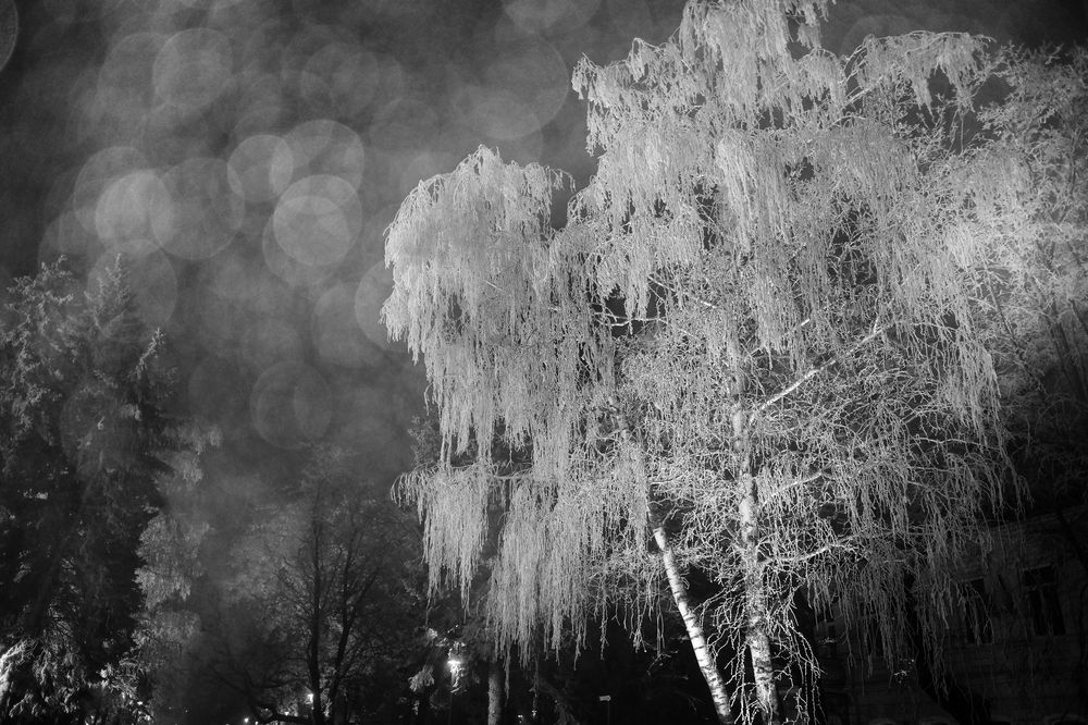 Photograph by Зорин Миша