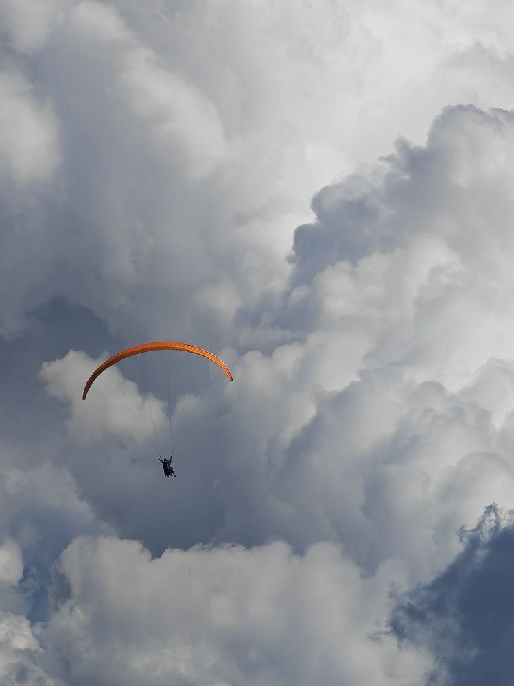 In flight in the storm