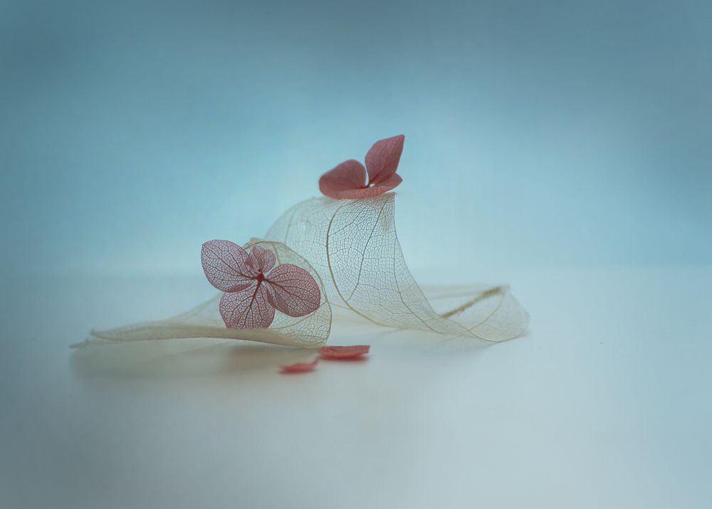 Photograph by Наталья Дроздова