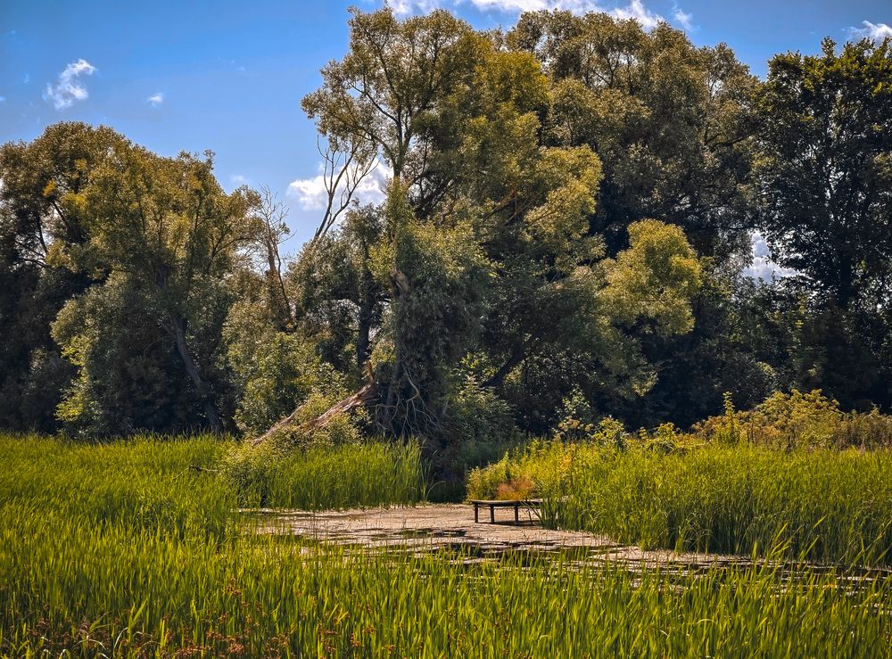 Photograph by Фролов (1stMOD) Владимир