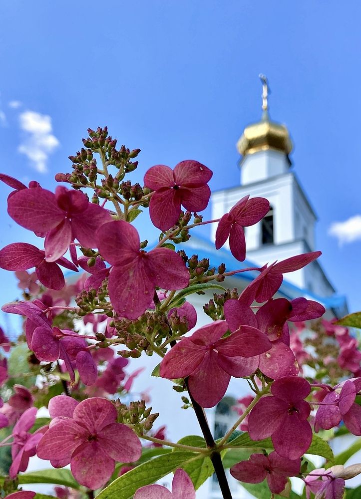 Photograph by Наталья Караблина