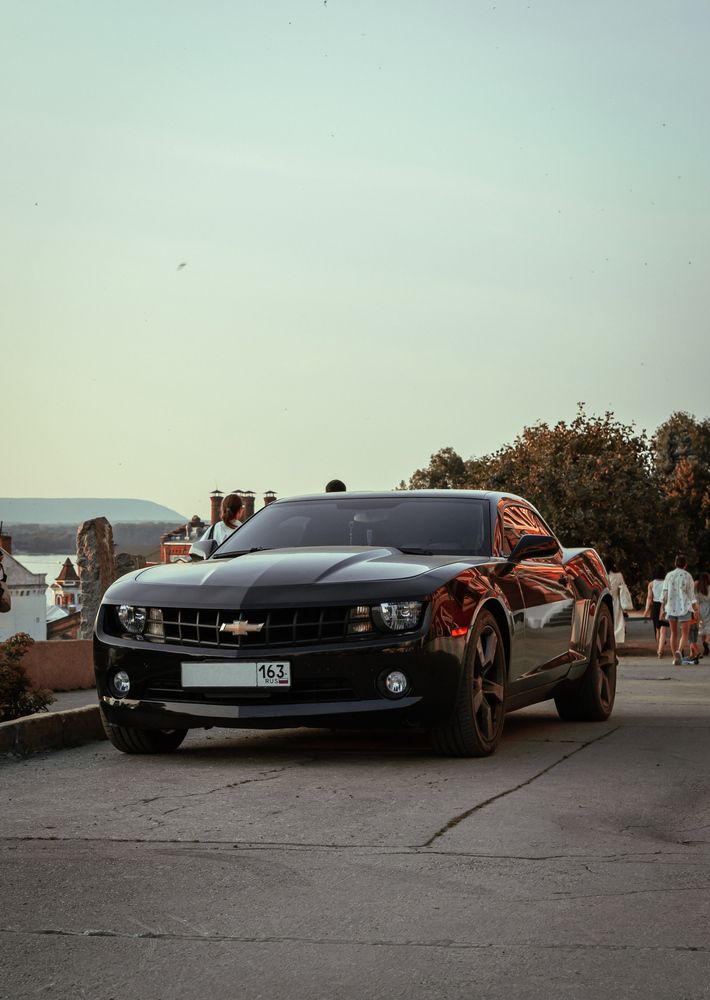 Фотография автора Дарья Бака