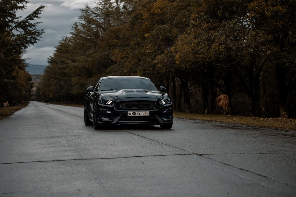 Фотография автора Fallen Angel