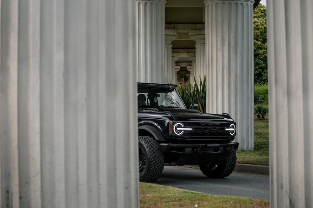 Фотография автора Fallen Angel