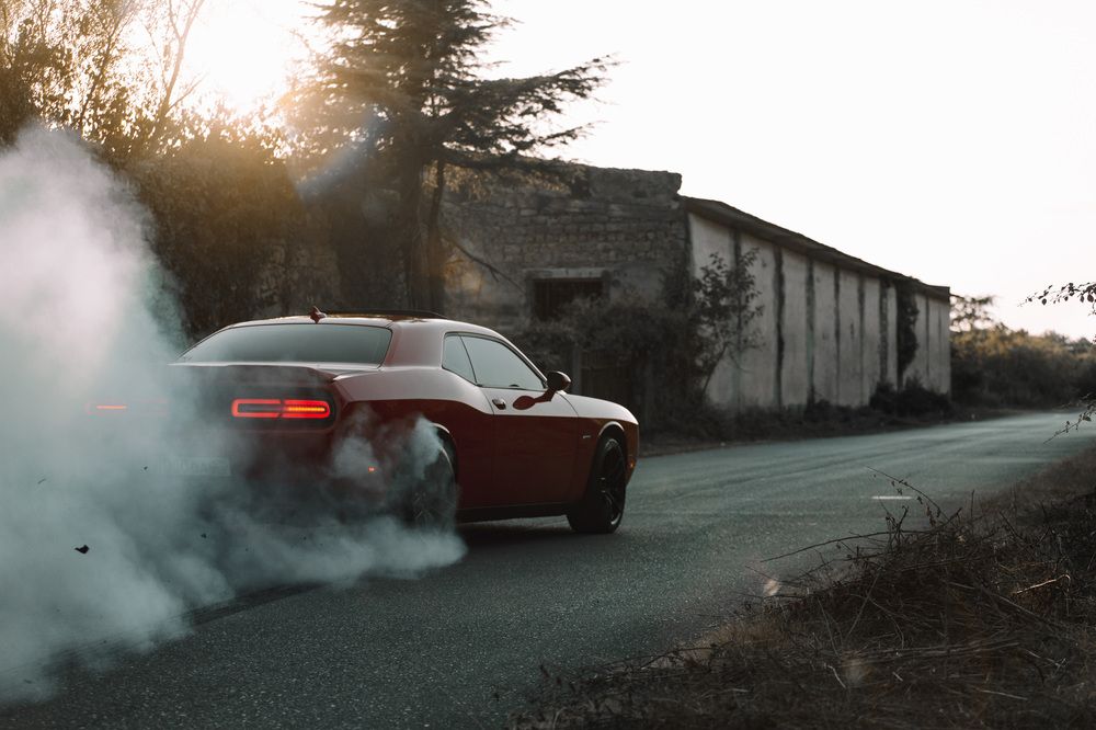 Фотография автора Fallen Angel