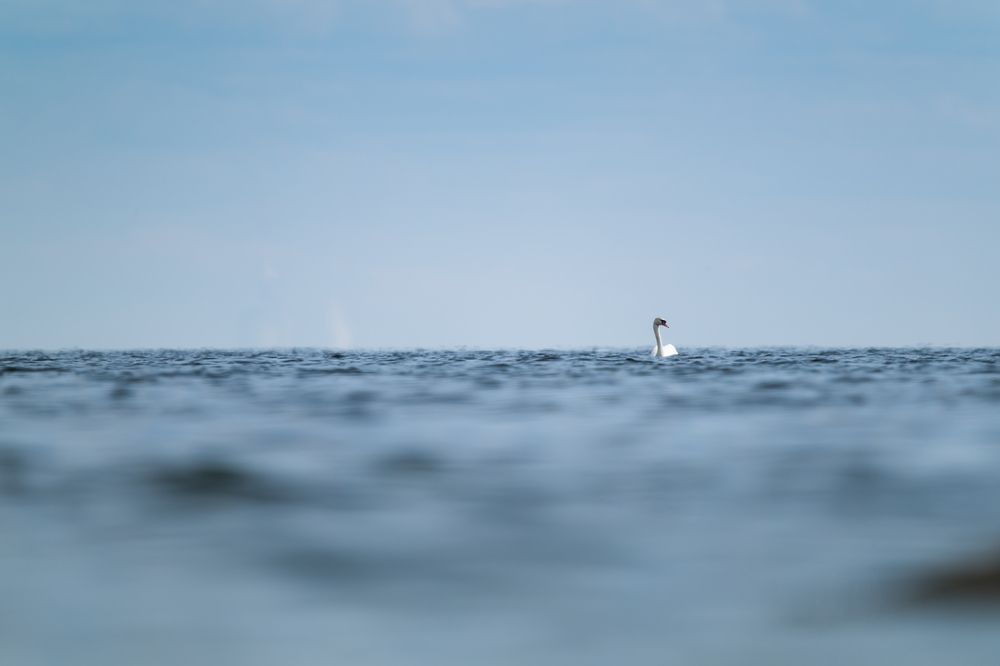 Photograph by Рыжков Юрий