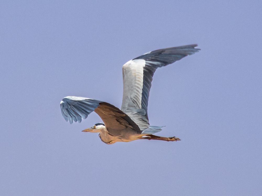 Photograph by Bachir Rabouh