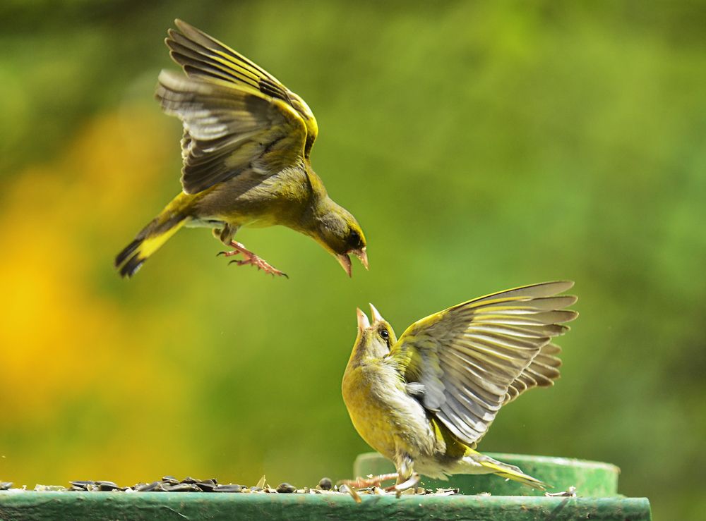 Photograph by Natalia Bolotenkova