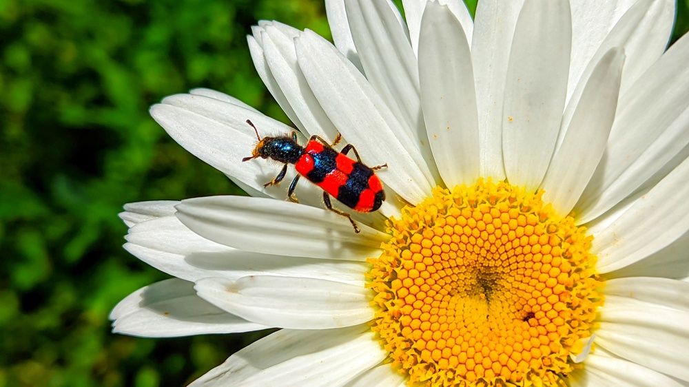 Photograph by Мария Широких