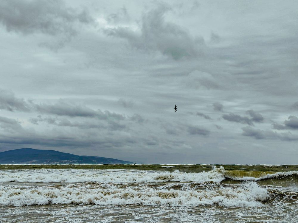 Фотография автора OXANA NAUMOVA